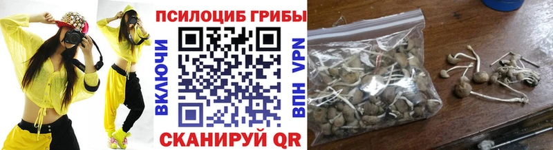 Псилоцибиновые грибы прущие грибы  Дюртюли 